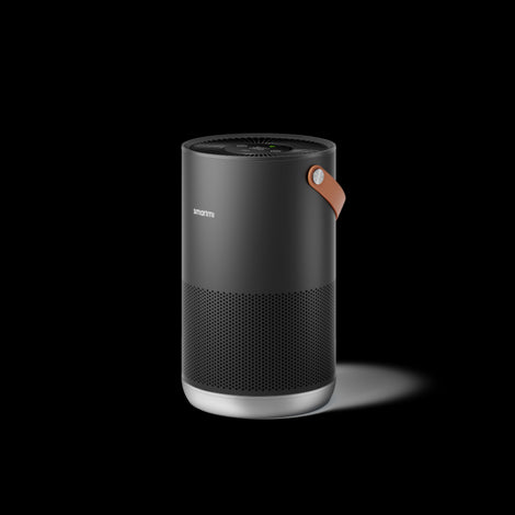 Air Purifier P1